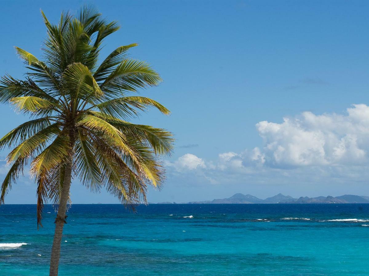 Coral Beach Club Villas & Marina Sint Maarten Экстерьер фото